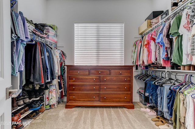 7028 Corral Ct, Prescott, AZ 86305 - walk in closet with carpet flooring