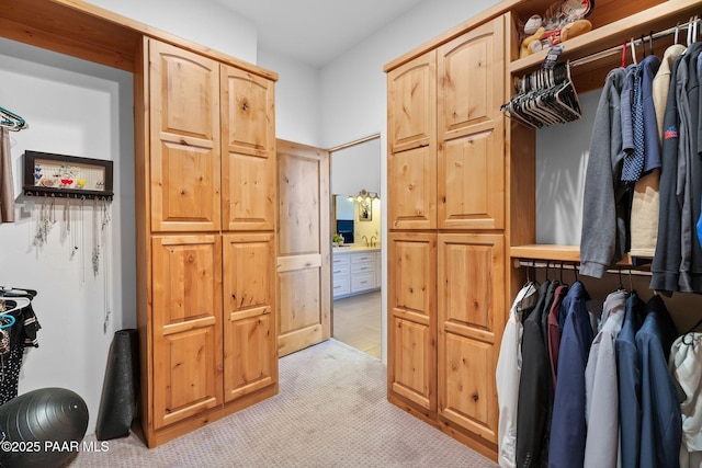 spacious closet with light colored carpet