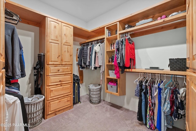 spacious closet with light colored carpet