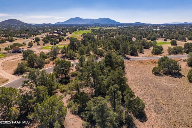 5766 W Maddie Ln, Prescott, AZ 86305 - photo 5
