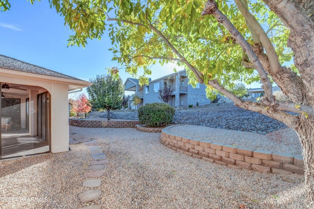 view of yard featuring a patio area