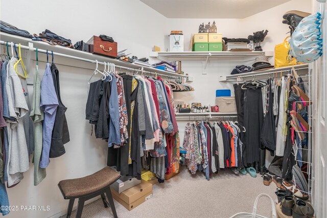 2315 W Desert Willow Dr, Cottonwood, AZ 86326 - walk in closet with carpet floors