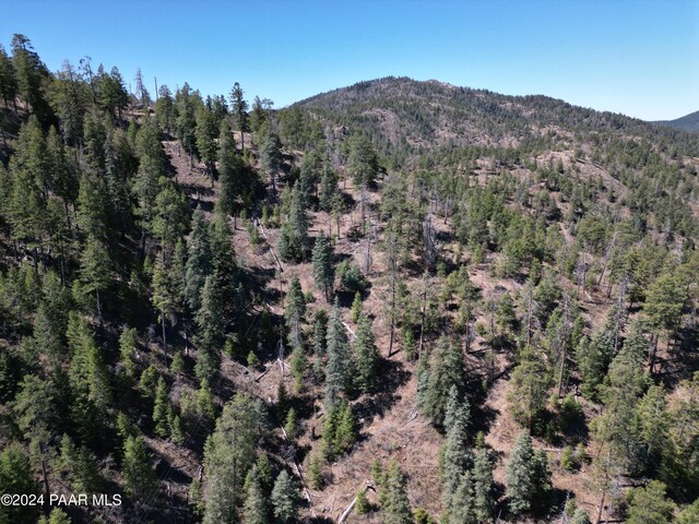 7740 S Snowdrift Mine Rd, Prescott, AZ 86303
