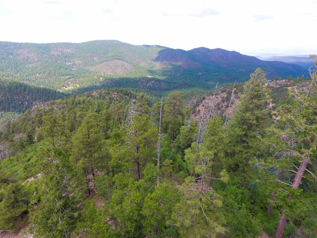 7740 S Snowdrift Mine Rd, Prescott, AZ 86303