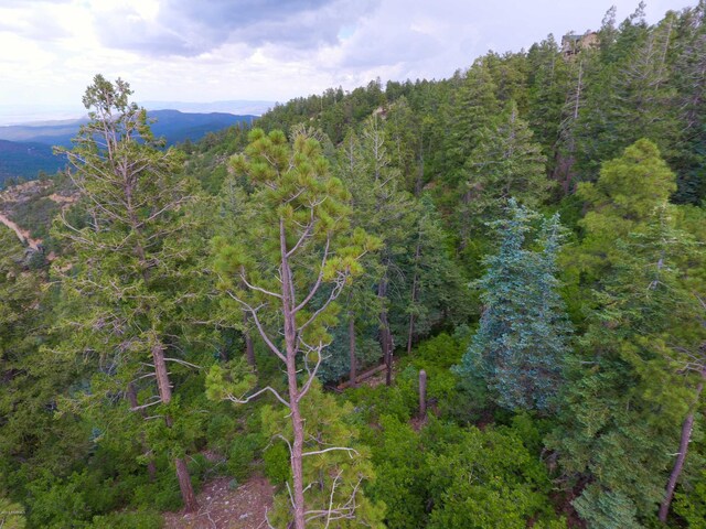 7740 S Snowdrift Mine Rd, Prescott, AZ 86303