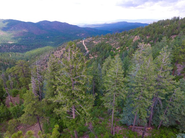 7740 S Snowdrift Mine Rd, Prescott, AZ 86303