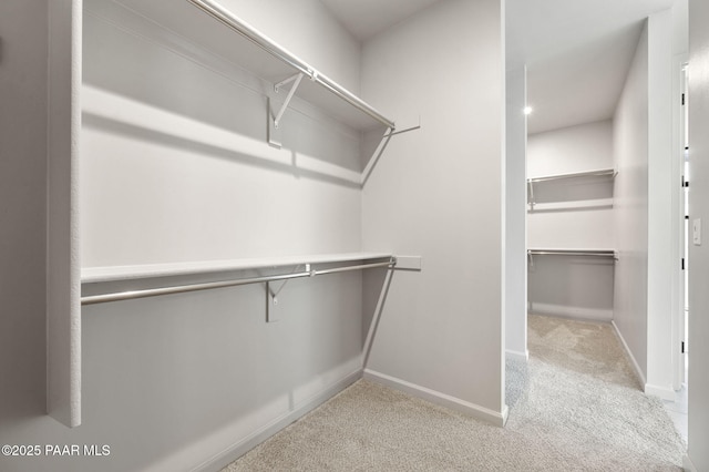 walk in closet with carpet flooring