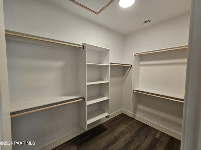 walk in closet featuring dark hardwood / wood-style floors