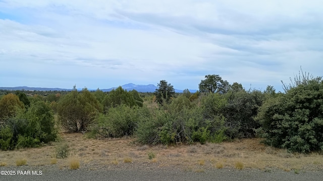000 Simmons Way, Prescott, AZ 86305 - photo 5