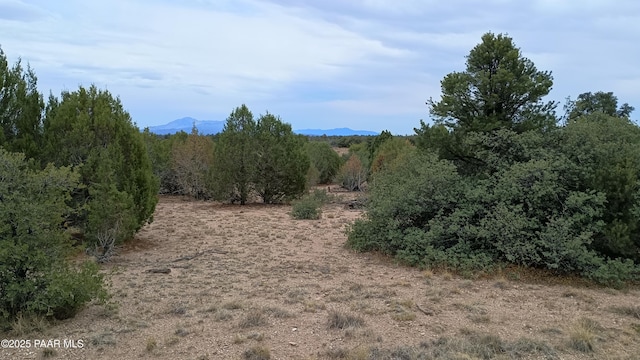 000 Simmons Way, Prescott, AZ 86305 - photo 3