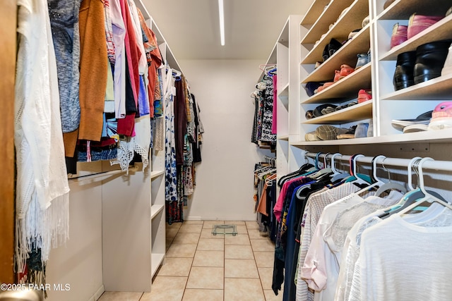 1086 N Broken Wagon Trl, Dewey-Humboldt, AZ 86327 - walk in closet with light tile patterned flooring