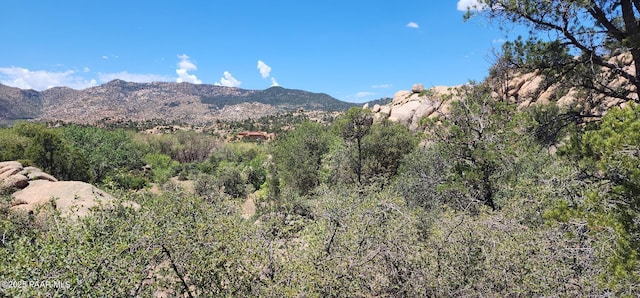 9235 N Distant Vw Cir, Prescott, AZ 86305 - photo 8