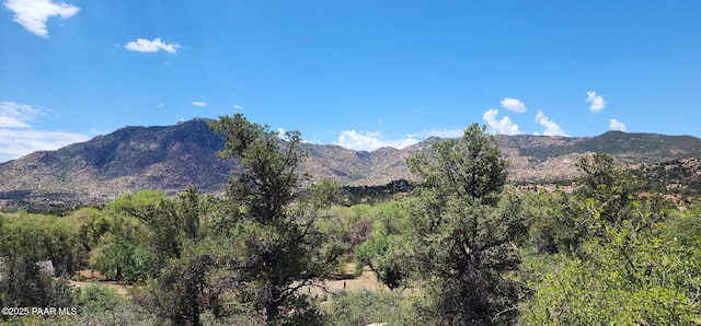 9235 N Distant Vw Cir, Prescott, AZ 86305 - photo 12