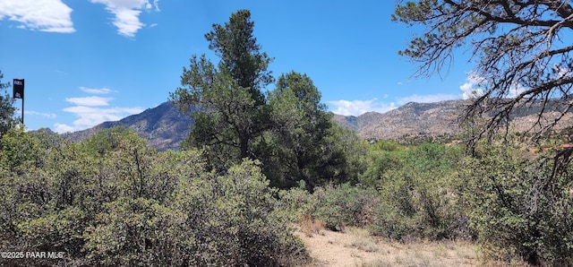 9235 N Distant Vw Cir, Prescott, AZ 86305 - photo 9