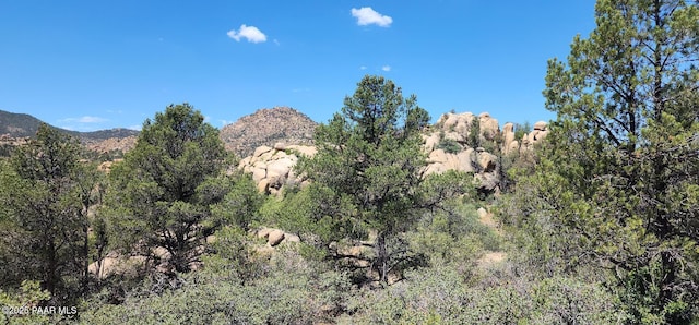 9235 N Distant Vw Cir, Prescott, AZ 86305 - photo 10