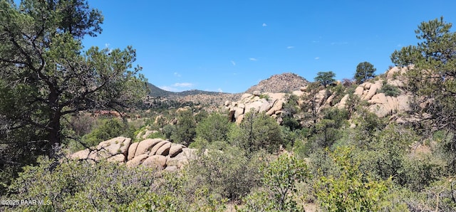 9235 N Distant Vw Cir, Prescott, AZ 86305 - photo 16