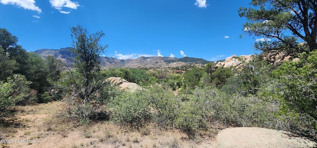 9235 N Distant Vw Cir, Prescott, AZ 86305 - photo 7