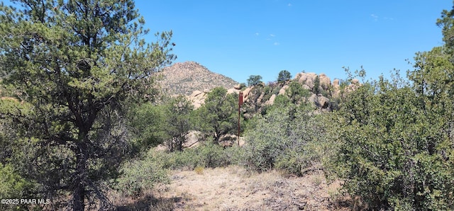9235 N Distant Vw Cir, Prescott, AZ 86305 - photo 14