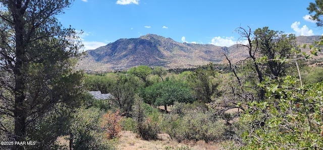 9235 N Distant Vw Cir, Prescott, AZ 86305 - photo 13