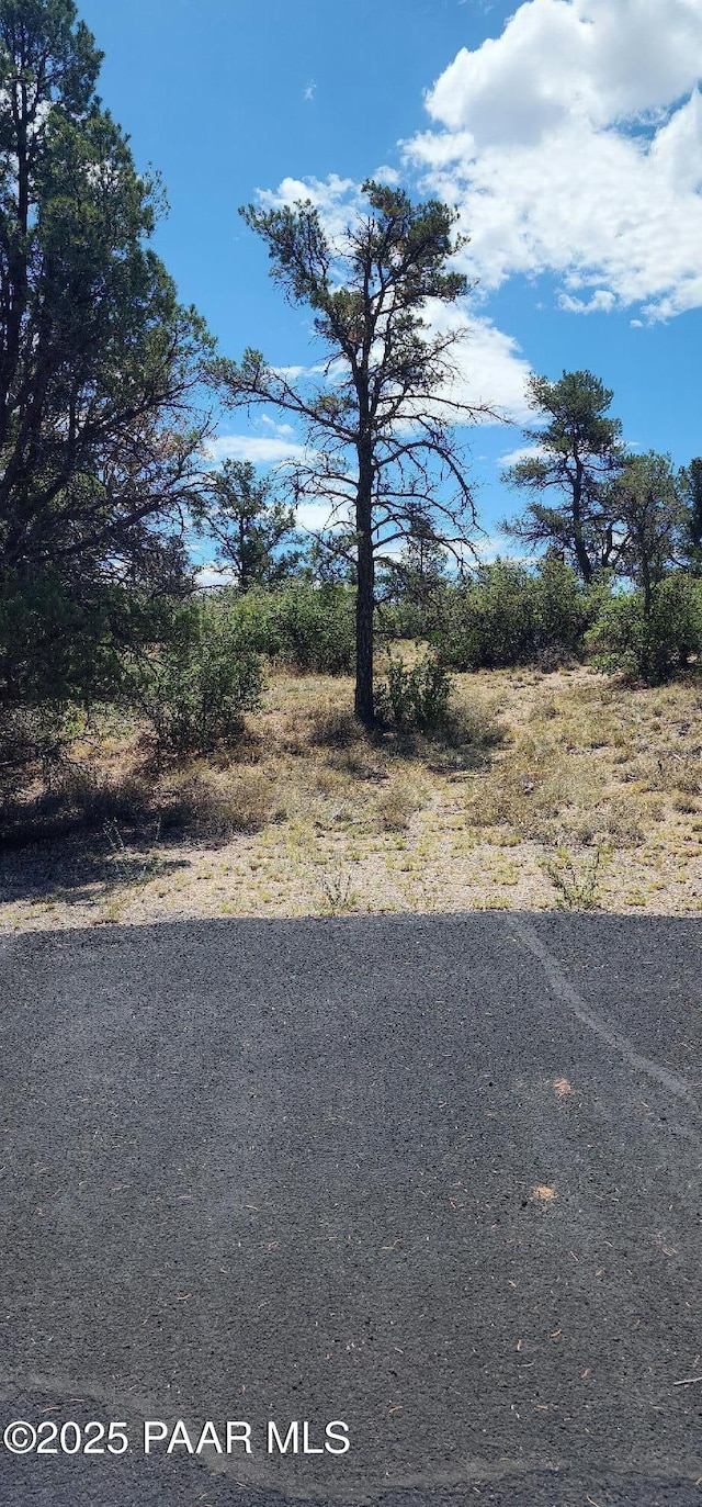 9235 N Distant Vw Cir, Prescott, AZ 86305 - photo 17
