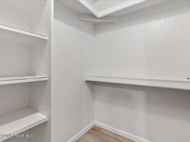 walk in closet featuring wood finished floors