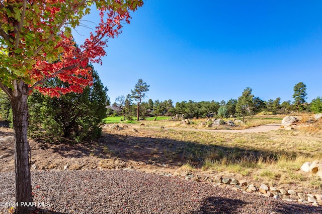 1716 Alpine Meadows Ln Unit 403, Prescott, AZ 86303 - view of nature