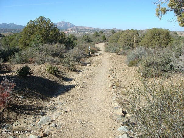 1716 Alpine Meadows Ln Unit 403, Prescott, AZ 86303 - mountain view
