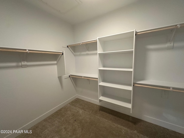 walk in closet with dark carpet