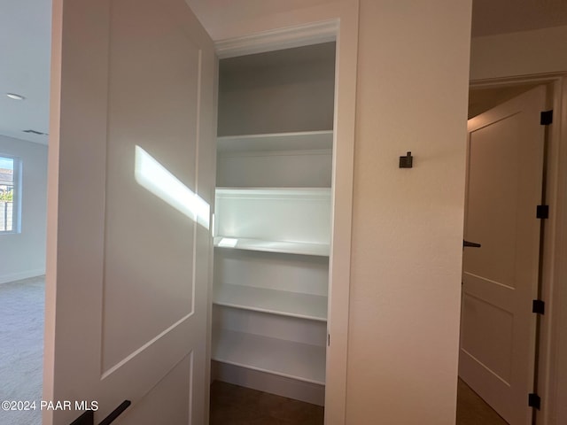 view of closet