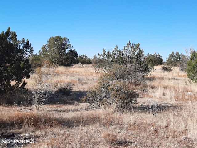 58573 N Calle Vaca, Seligman, AZ 86337 - photo 6