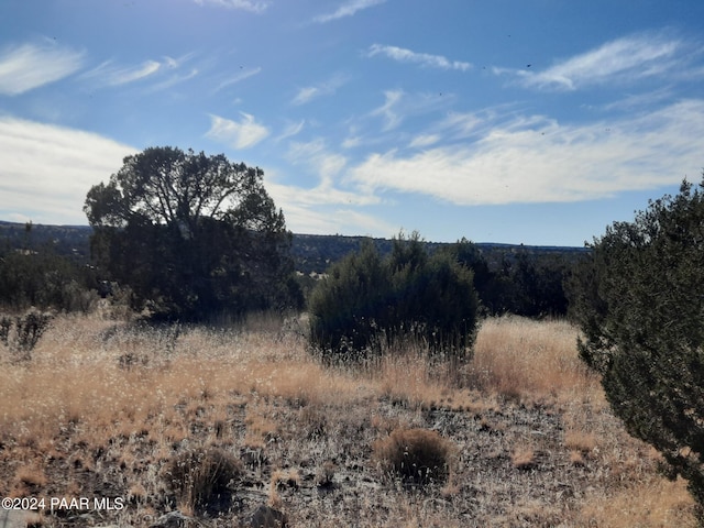 58573 N Calle Vaca, Seligman, AZ 86337 - photo 5