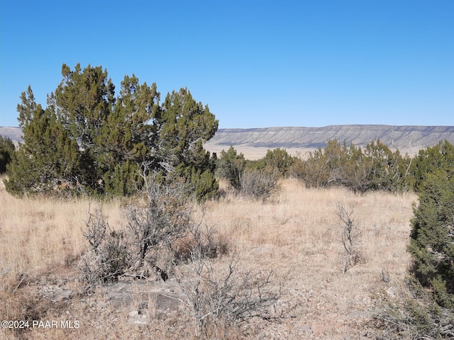 58573 N Calle Vaca, Seligman AZ, 86337 land for sale