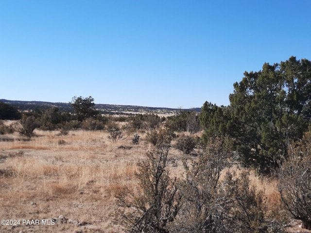 58573 N Calle Vaca, Seligman, AZ 86337 - photo 7