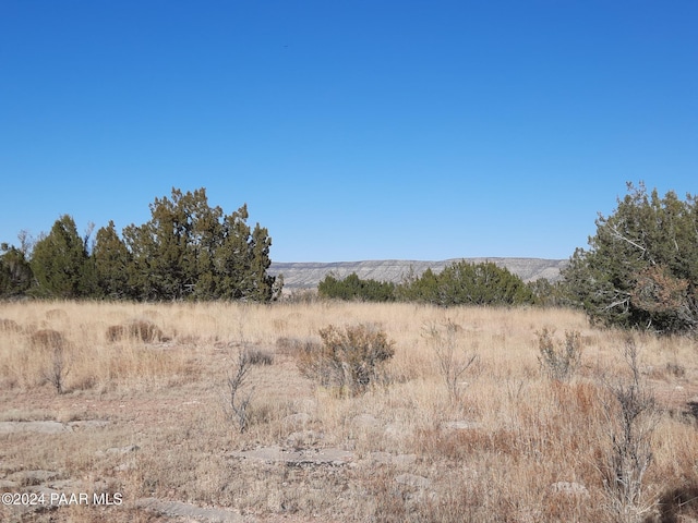 58573 N Calle Vaca, Seligman, AZ 86337 - photo 10