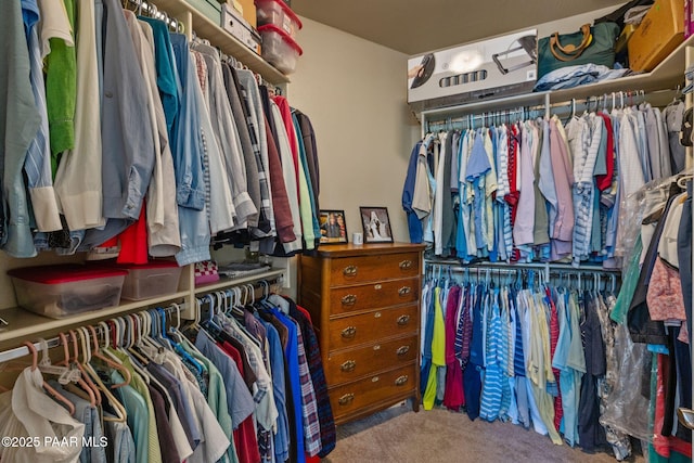 1222 Crown Ridge Dr, Prescott, AZ 86301 - spacious closet with carpet