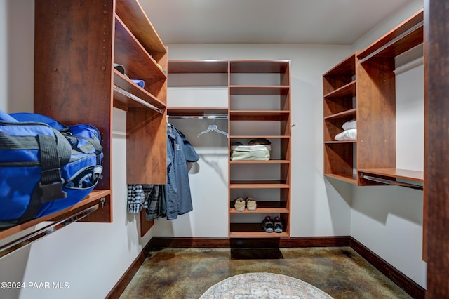 view of spacious closet