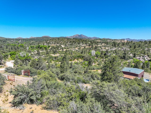 drone / aerial view featuring a mountain view