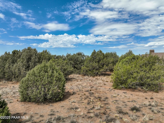14440 N Pauls Spur Dr, Prescott, AZ 86305 - photo 22