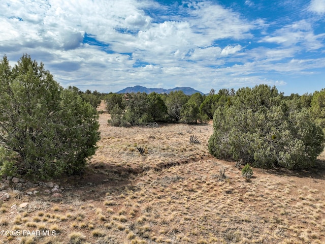 14440 N Pauls Spur Dr, Prescott, AZ 86305 - photo 18