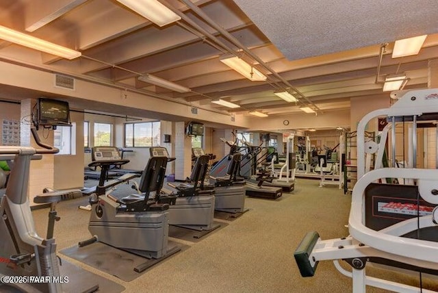1005 N Rolling Green Rd, Dewey-Humboldt, AZ 86327 - workout area featuring carpet floors