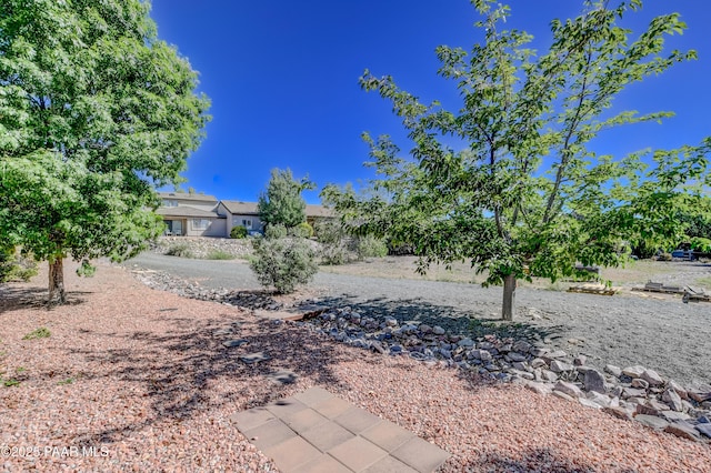 1005 N Rolling Green Rd, Dewey-Humboldt, AZ 86327 - view of yard