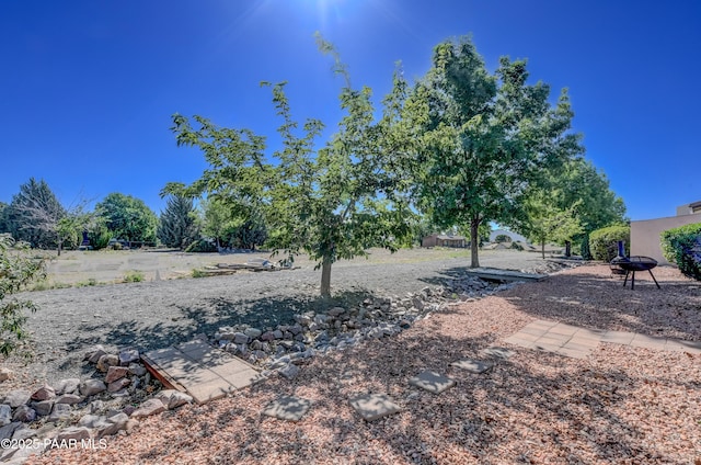 1005 N Rolling Green Rd, Dewey-Humboldt, AZ 86327 - view of yard