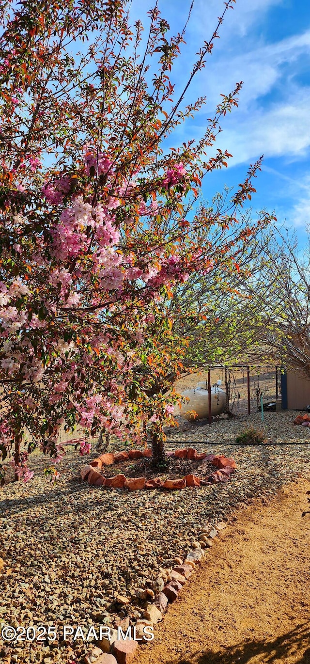 1125 N Wagon Wheel Pl, Chino Valley, AZ 86323 - view of yard