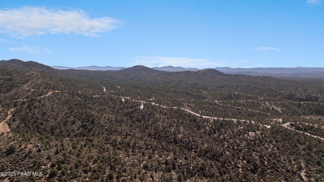 3 W Everlark Trl, Prescott, AZ 86305 - photo 10