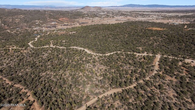 3 W Everlark Trl, Prescott, AZ 86305 - photo 9