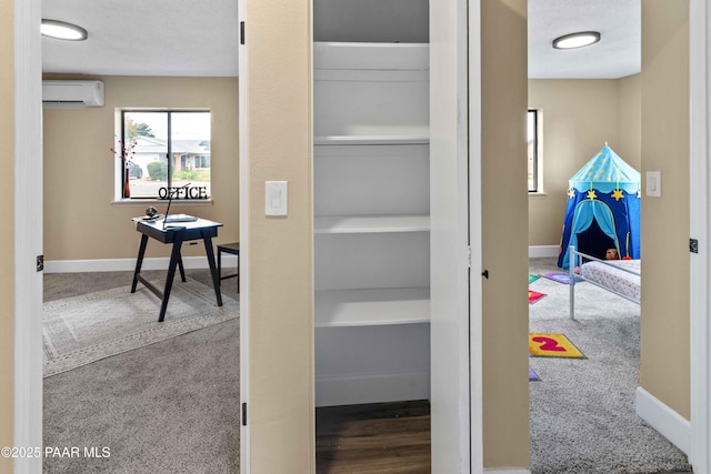 closet featuring an AC wall unit