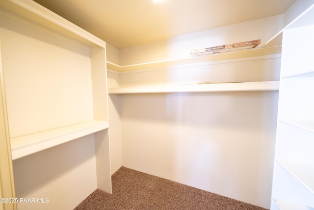438 Jasmine Ln, Prescott, AZ 86301 - spacious closet with carpet