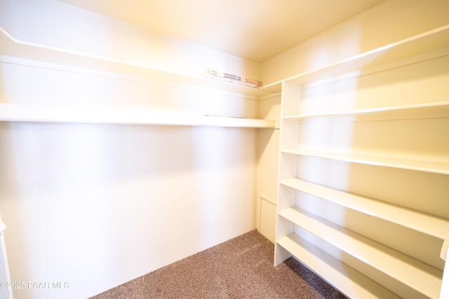 438 Jasmine Ln, Prescott, AZ 86301 - walk in closet with carpet floors