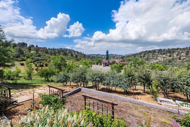 2770 Ridge Rd, Prescott, AZ 86301 - view of home's community