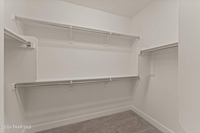 spacious closet featuring carpet floors